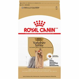 Royal Canin Yorkshire Terrier Dog Food Review - Is It The Best Choice for Your Yorkie